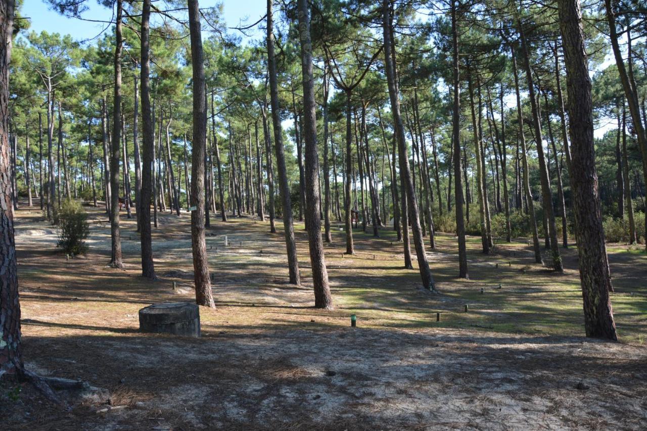 Campsite Wellness Sport - La Dune Bleue